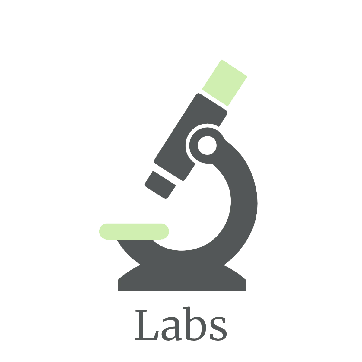 Labs icon transparent